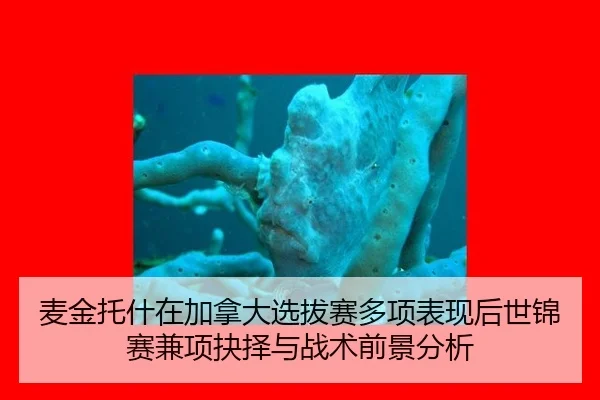 麦金托什在加拿大选拔赛多项表现后世锦赛兼项抉择与战术前景分析